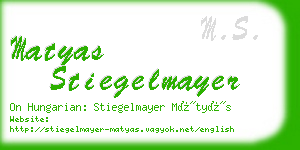 matyas stiegelmayer business card